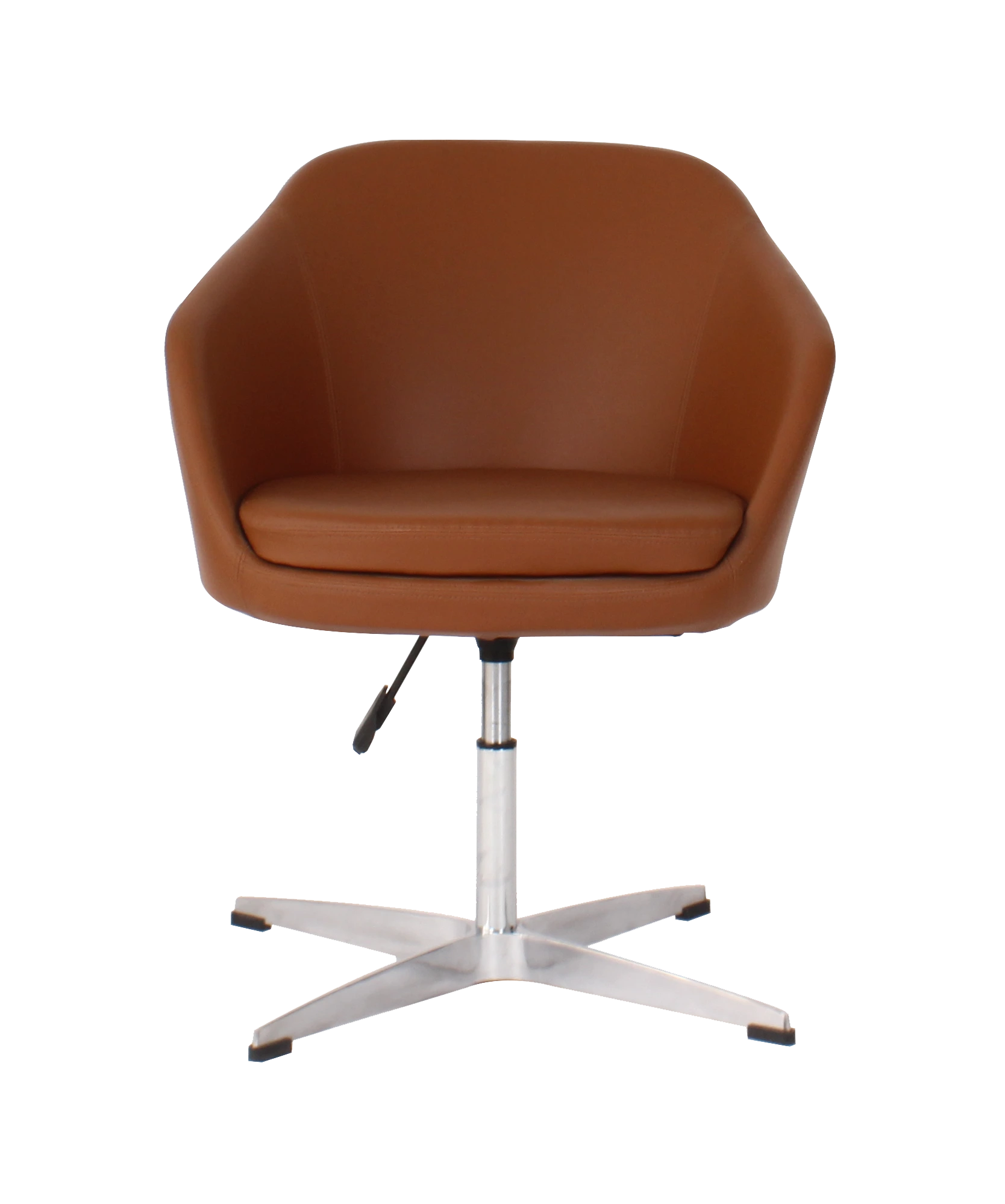 Lounge Brown Chair